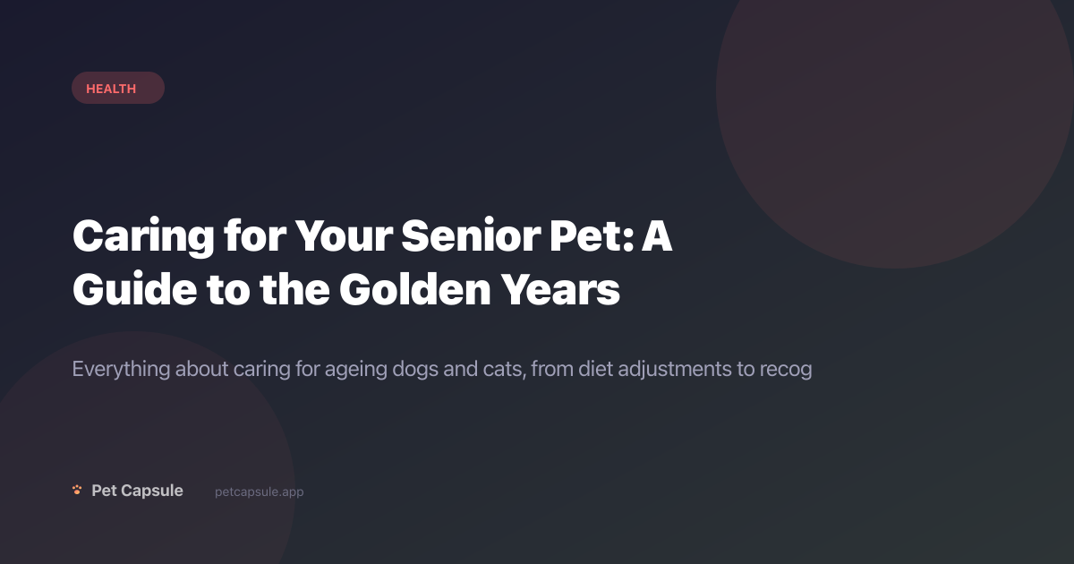 Senior Pet Care: Complete Guide to Your Pet's Golden Years