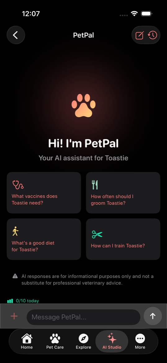 AI Chat