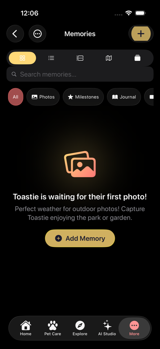 Memory Timeline