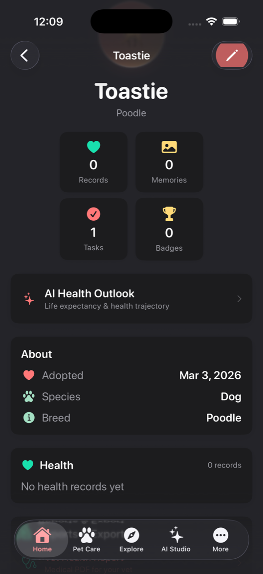 Home Dashboard