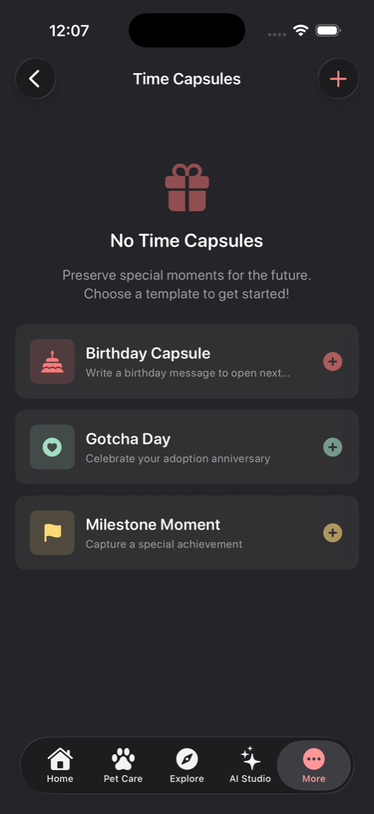Time Capsules