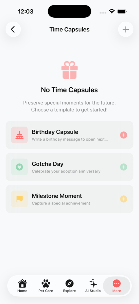Time Capsules